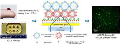 Non-invasive Detection of Exosomal MicroRNAs via Tethered Cationic Lipoplex Nanoparticles (tCLN) Biochip for Lung Cancer Early Detection